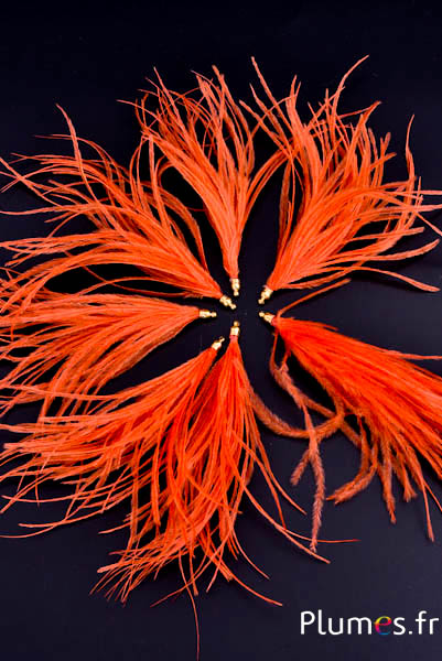Pendentif autruche - 9-12 cm - orange sanguin